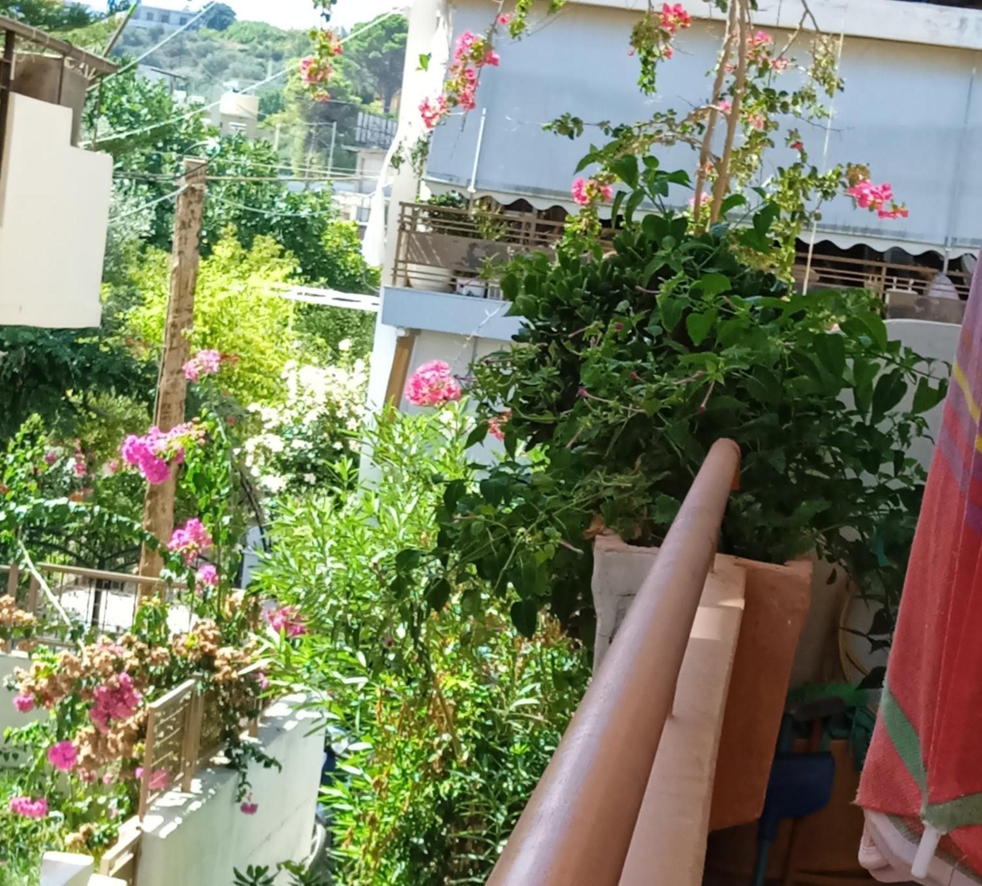 Ilona Apartments Chania Kato Daratso Phòng bức ảnh