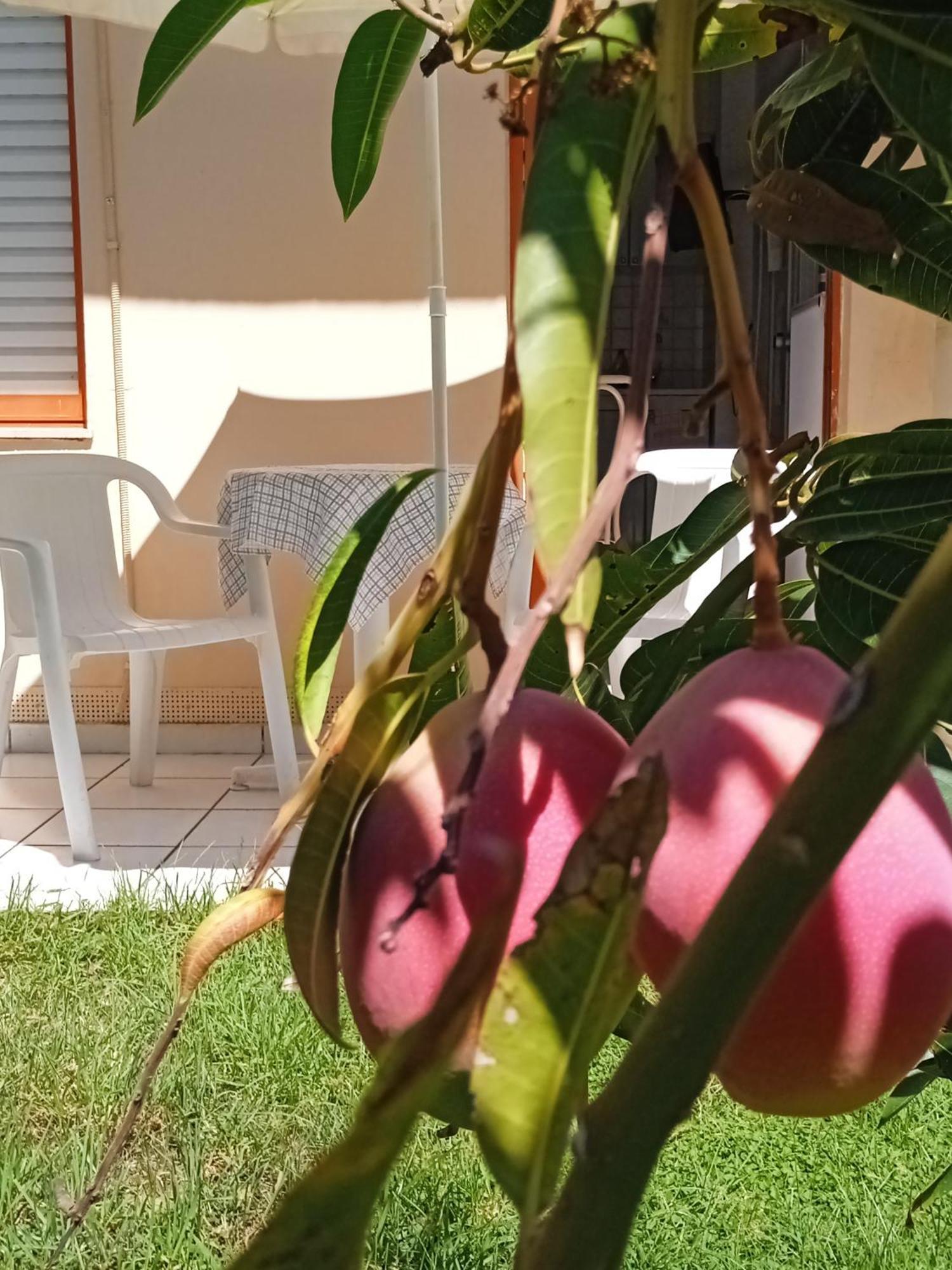 Ilona Apartments Chania Kato Daratso Phòng bức ảnh
