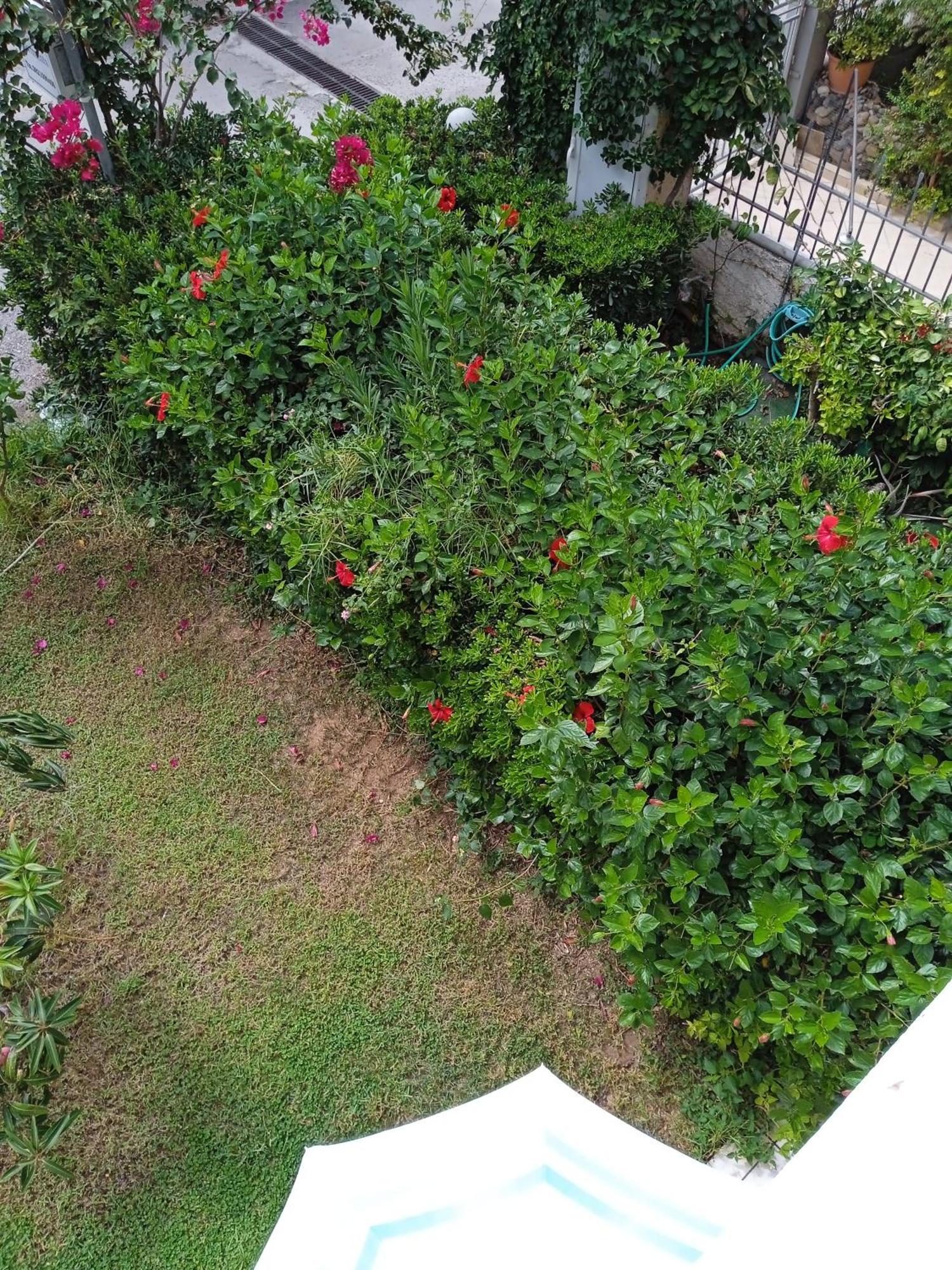 Ilona Apartments Chania Kato Daratso Phòng bức ảnh